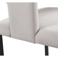 MOD The Verve Dining Chair, Cream And Matte Black, Velvet And Iron, Set Of 2 17 MOD The Verve Dining Chair, Cream And Matte Black, Velvet And Iron, Set Of 2 -abbyson shop 1bb1ac6d02741846 0724 w800 h800 b0 p0