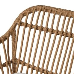 GDFStudio Rodney Indoor Woven Faux Rattan Chairs With Cushions, Set Of 2, Light Brown, Bei -abbyson shop 21e1603301d53a5d 4350 w800 h800 b0 p0