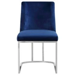 MOD The Josephine Velvet Dining Chair, Navy And Silver, Set Of 2 11 MOD The Josephine Velvet Dining Chair, Navy And Silver, Set Of 2 -abbyson shop 25815a1702741206 0745 w800 h800 b1 p0