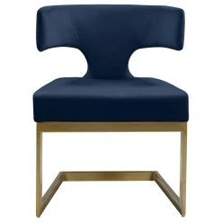 MOD The Eve Dining Chair, Navy And Gold, Velvet And Metal -abbyson shop 4181ce1802741604 0748 w800 h800 b1 p0