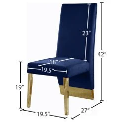 MOD The Cairo Dining Chair, Navy And Gold, Velvet, Set Of 2 -abbyson shop 45616f6302741515 0747 w800 h800 b1 p0