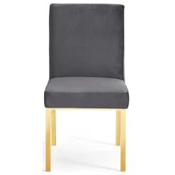 MOD The Weaver Dining Chair, Gray, Velvet, Gold Base Set Of 2 -abbyson shop 4831e80c02740e0e 1314 w800 h800 b1 p0