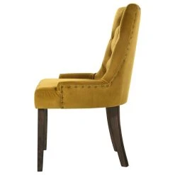 Acme Furniture Farren Side Chair, Yellow Velvet And Espresso Finish -abbyson shop 4b81aad20fae0924 0637 w800 h800 b1 p0