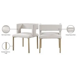 MOD The Verve Dining Chair, Cream And Brushed Gold, Velvet And Iron, Set Of 2 -abbyson shop 4c117d6c02741996 0783 w800 h800 b1 p0