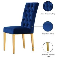 Meridian Furniture Capri Velvet Dining Chair, Set Of 2, Navy -abbyson shop 8171abc3027412fe 4493 w800 h800 b1 p0