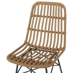 GDFStudio Silverdew Indoor Wicker Dining Chairs, Set Of 2, Light Brown, Black -abbyson shop 87e19d630f9080b0 2926 w800 h800 b1 p0