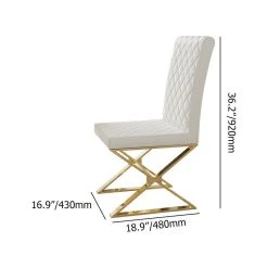 HOMARY Modern Upholstered White PU Leather Dining Chair Set Of 2 Stainless Steel Gold -abbyson shop 9d2160b50396e309 3136 w800 h800 b1 p0