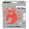 Gamma Synthetic Gut 17g (White) -abbyson shop BGSG1 WHT