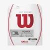 Wilson NXT POWER 17 TENNIS STRING - SET -abbyson shop WRZ941700 4093aa7e4d056c86e3991e195c435001