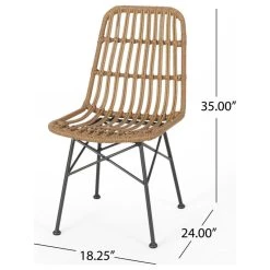 GDFStudio Silverdew Indoor Wicker Dining Chairs, Set Of 2, Light Brown, Black -abbyson shop b22167140f9080b2 2926 w800 h800 b1 p0