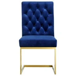 Meridian Furniture Cameron Velvet Dining Chair, Set Of 2, Navy 12 Meridian Furniture Cameron Velvet Dining Chair, Set Of 2, Navy -abbyson shop d5e1221602741438 4880 w800 h800 b1 p0