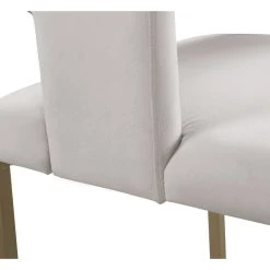 MOD The Verve Dining Chair, Cream And Brushed Gold, Velvet And Iron, Set Of 2 -abbyson shop da71eaf002741922 0783 w800 h800 b0 p0