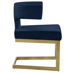 MOD The Eve Dining Chair, Navy And Gold, Velvet And Metal -abbyson shop dc615ce502741605 0748 w800 h800 b1 p0