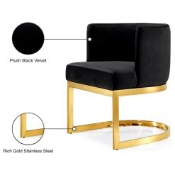 MOD The Fay Dining Chair, Black And Gold, Velvet -abbyson shop f05187d9027415d8 1286 w800 h800 b1 p0
