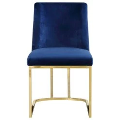 MOD The Josephine Velvet Dining Chair, Navy And Gold, Set Of 2 12 MOD The Josephine Velvet Dining Chair, Navy And Gold, Set Of 2 -abbyson shop f4e18539027414b7 0748 w800 h800 b1 p0